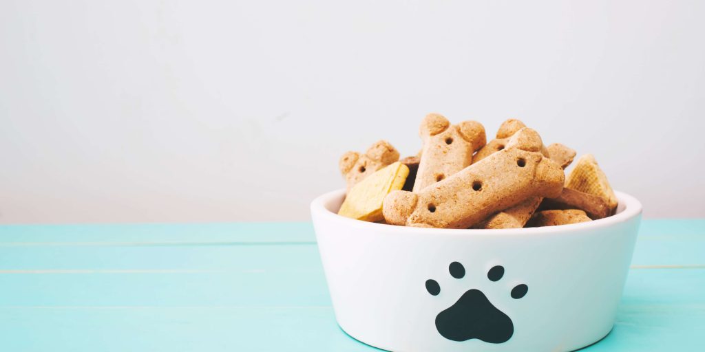 חטיפי כלבים