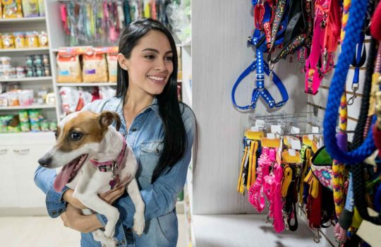 חנות לחיות מחמד2